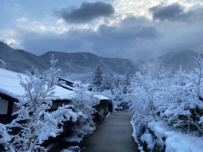 本日もなごり雪