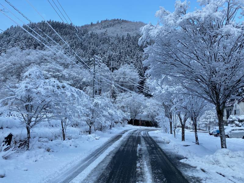 本日もなごり雪