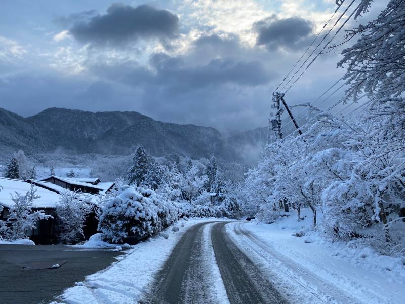 本日もなごり雪