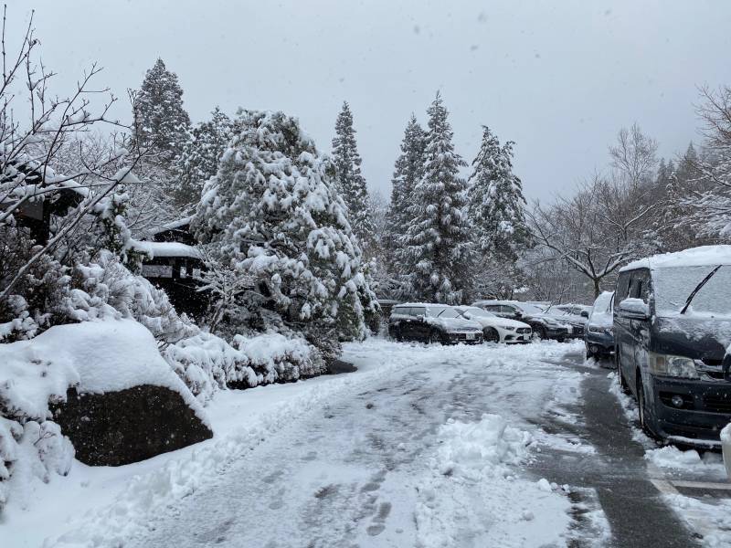 雪も見納め。