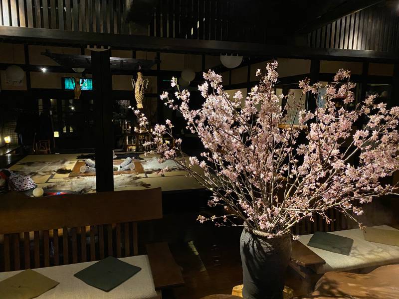 桜満開♪　ひだ路の夜桜