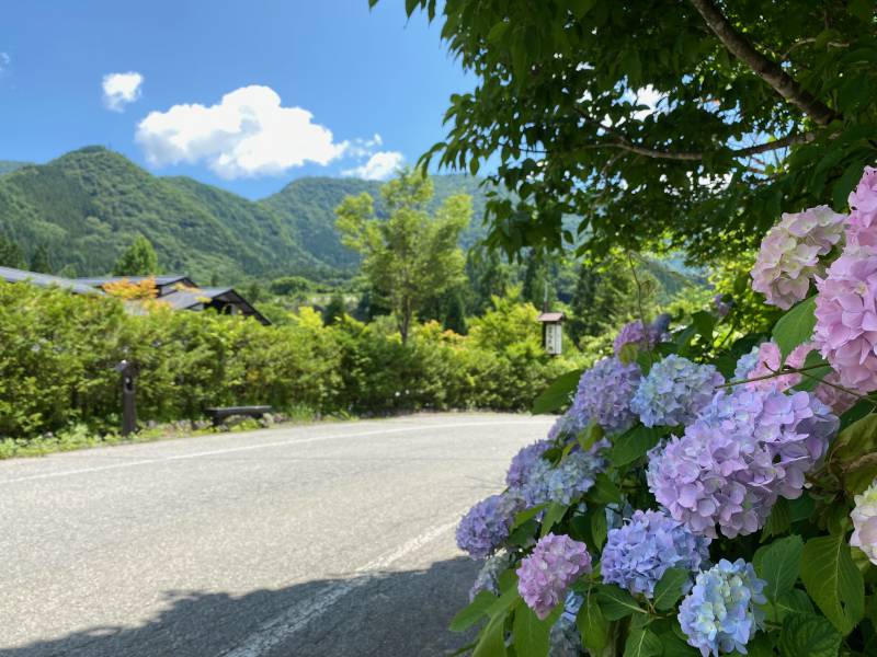 良い天気になりました。