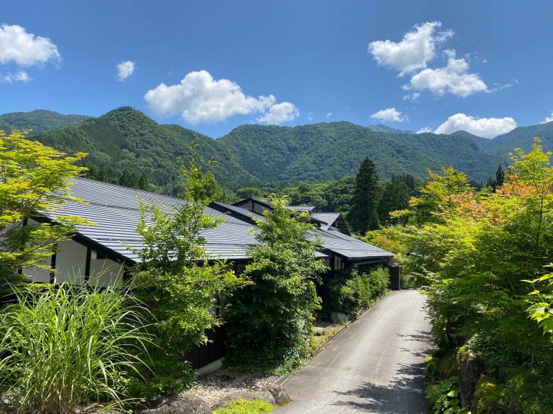 良い天気になりました。