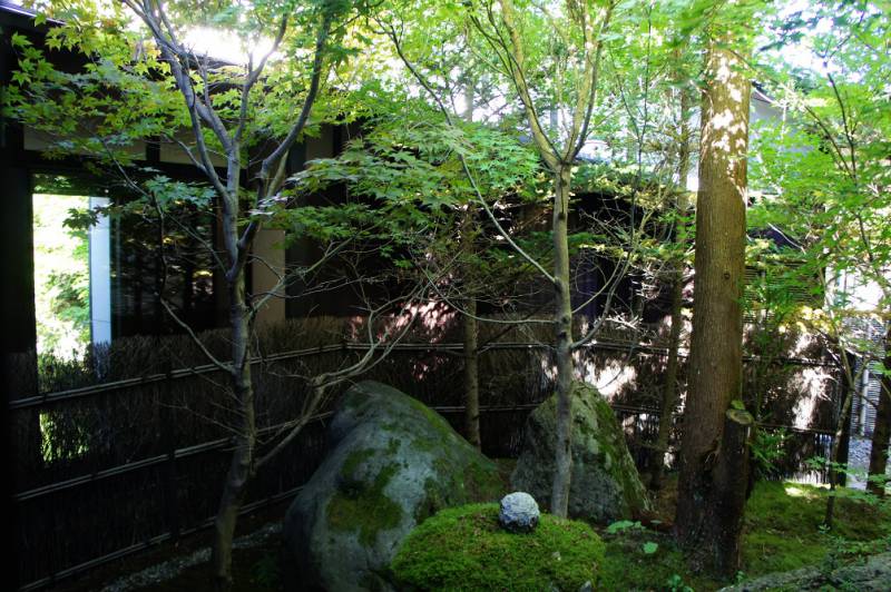 当庵のロビーから見える風景