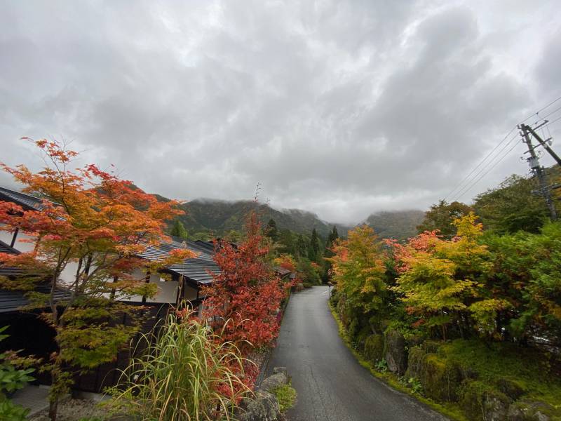 敷地の紅葉も見頃に。