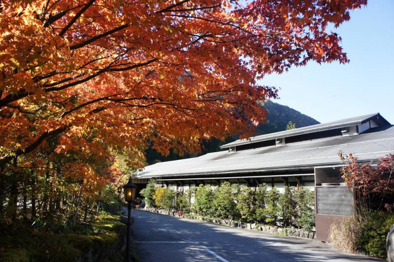 奥飛騨の紅葉、今がピークです！