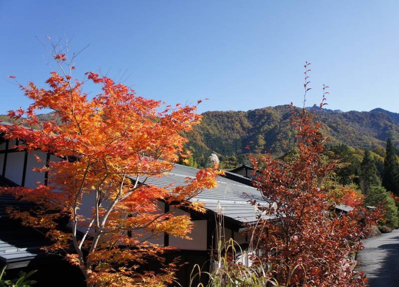 紅葉狩りには絶好のお天気！