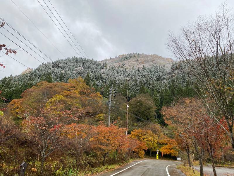 本日は初冠雪となりました。