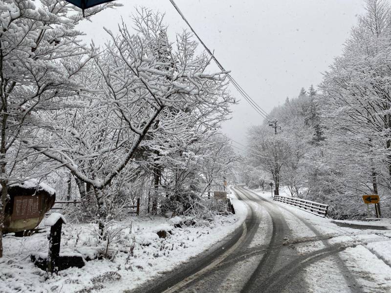 本格的な雪になりました。