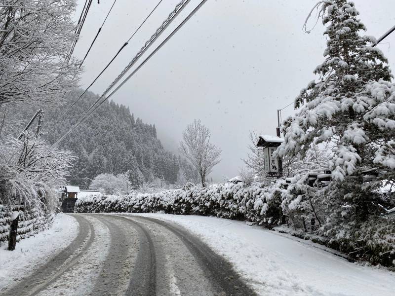 本格的な雪になりました。