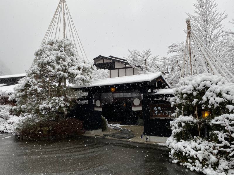 本格的な雪になりました。