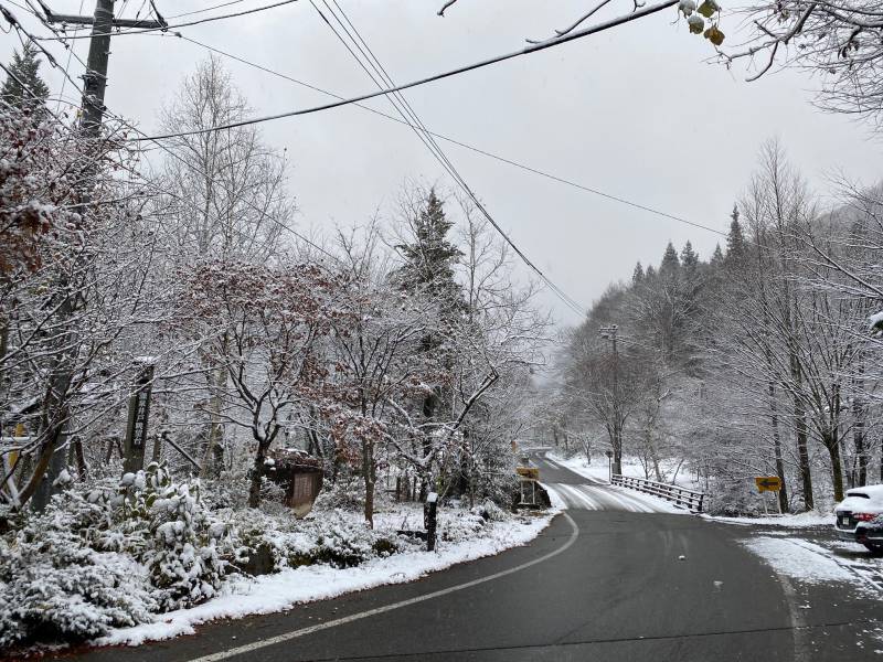 雪景色となりました。