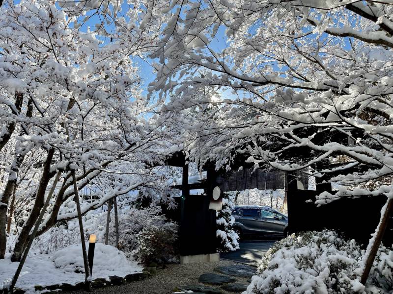 美しい雪景色の日