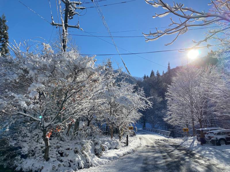 美しい雪景色の日