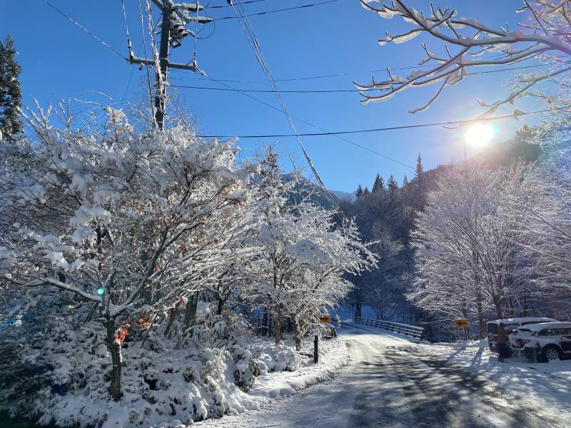 美しい雪景色の日