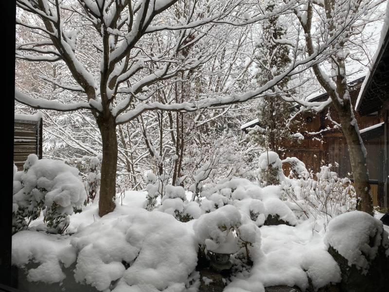 雪見露天日和です。