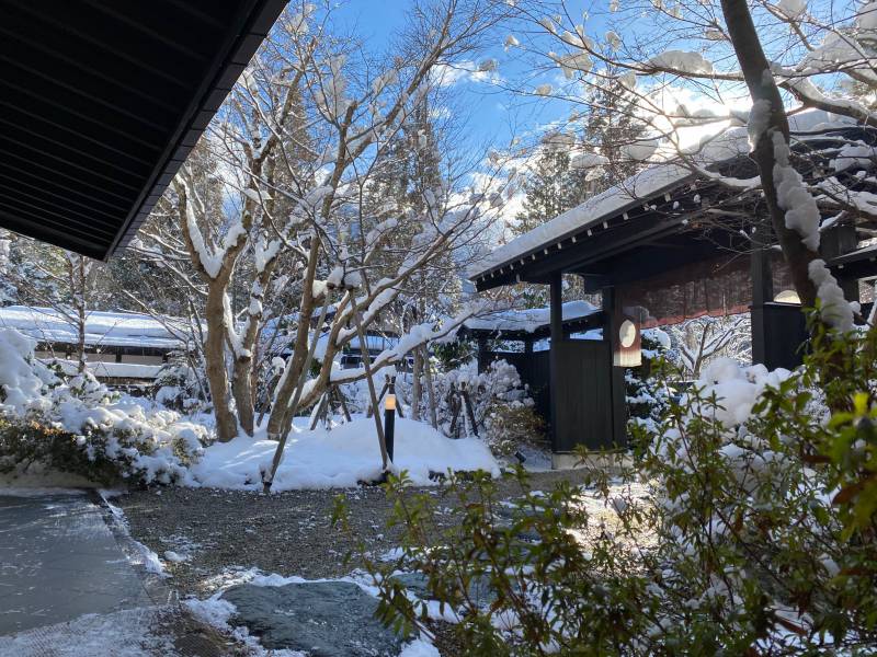 雪晴れとなりました。