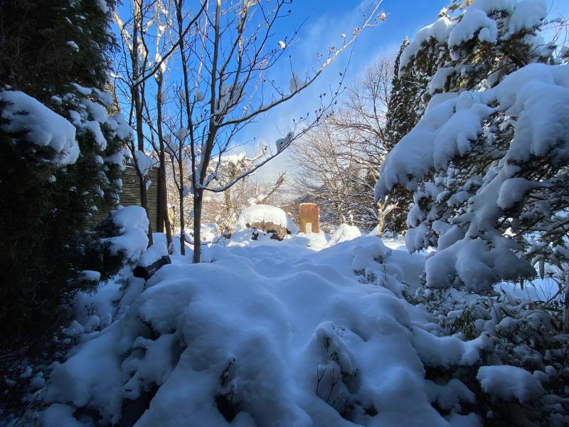 雪晴れとなりました。