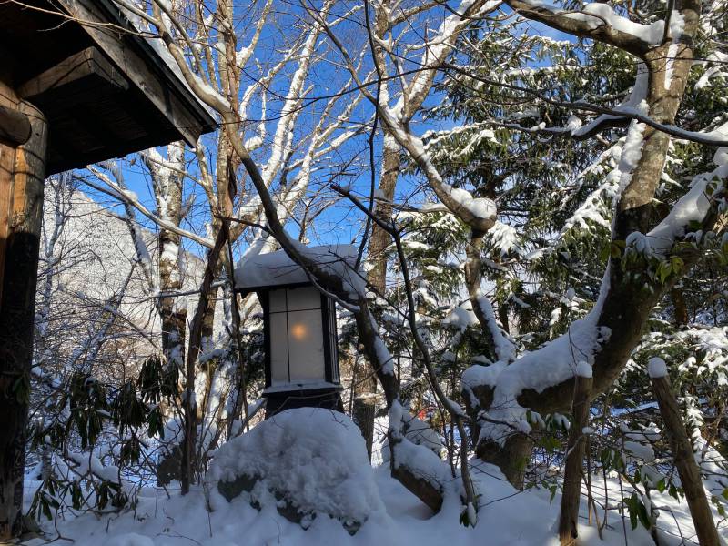 雪晴れとなりました。