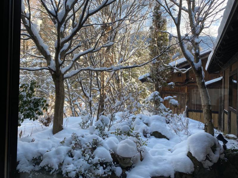 雪晴れとなりました。