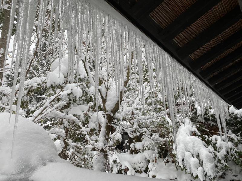 雪景色がつづいております。