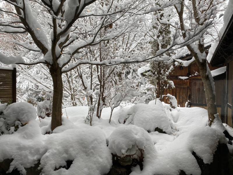 雪景色がつづいております。