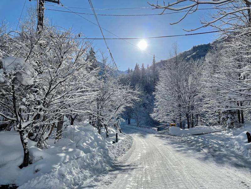 日差しきらめく雪景色