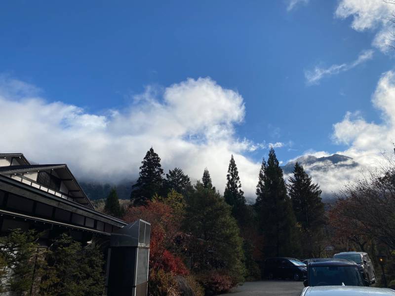 本日は雪景色