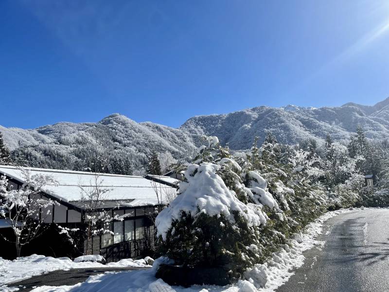 本日は快晴の雪景色となりました