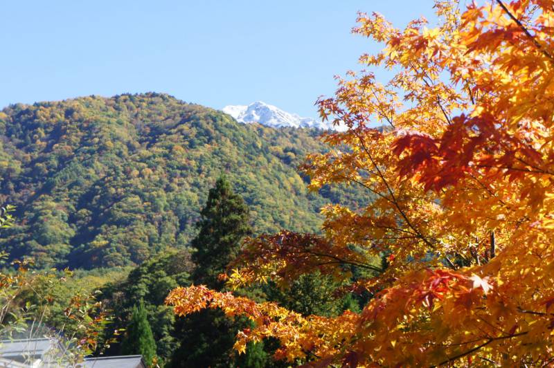 焼岳に雪が降りました