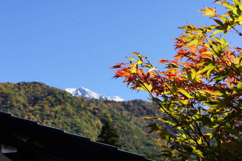 焼岳に雪が降りました