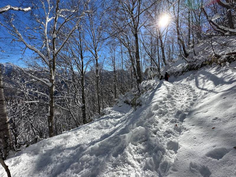 冬の福地山トレッキングに挑戦しました