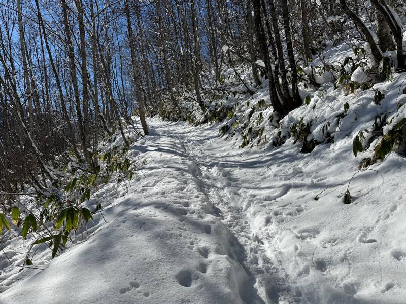 冬の福地山トレッキングに挑戦しました