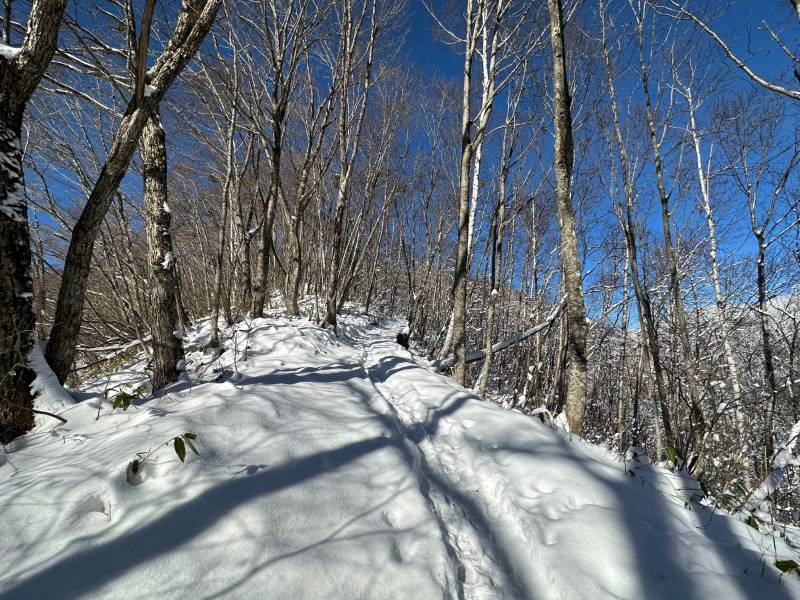 冬の福地山トレッキングに挑戦しました