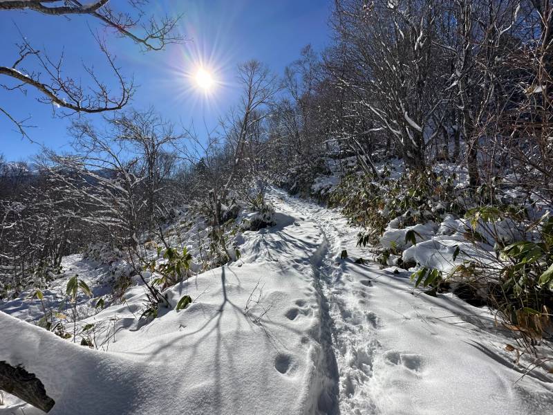 冬の福地山トレッキングに挑戦しました