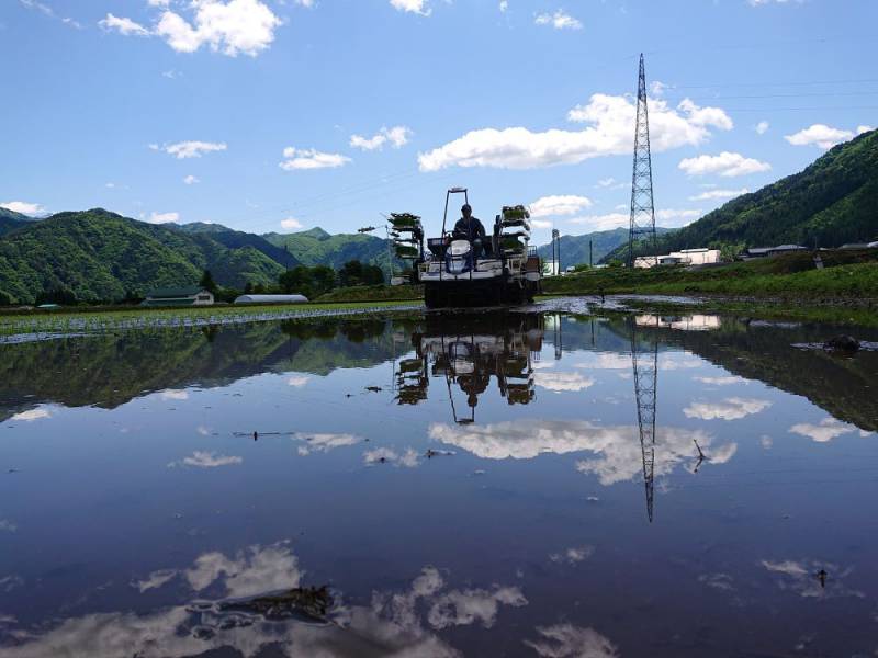 飛騨上宝高原の恵み