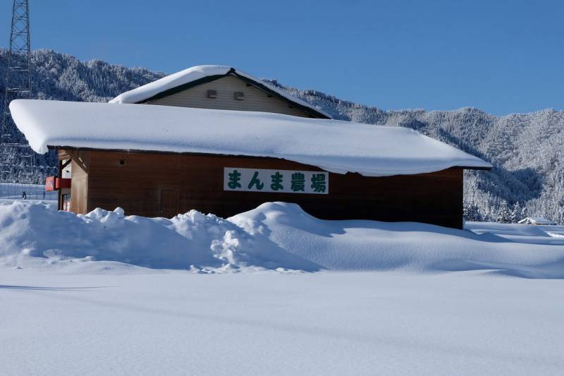 飛騨上宝高原の恵み