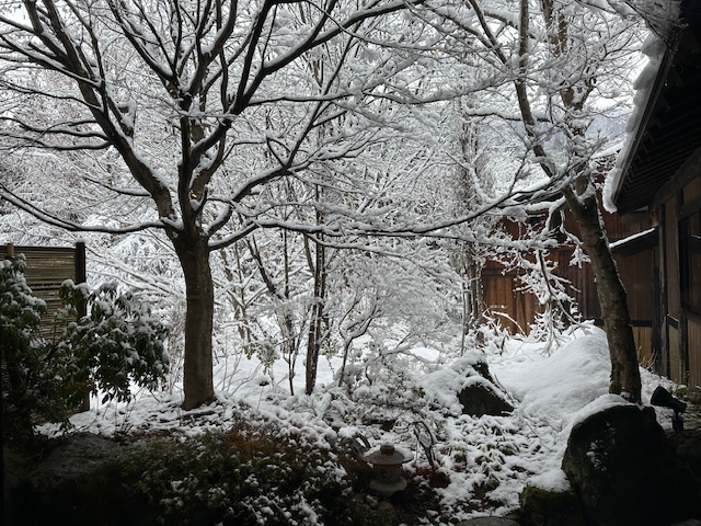 3月20日の雪景色