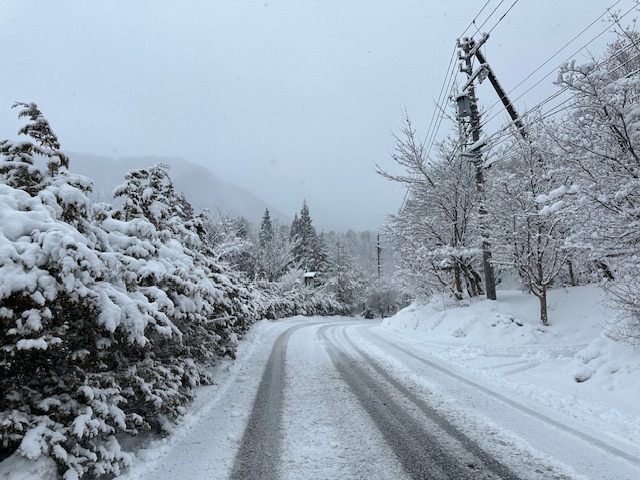 3月20日の雪景色