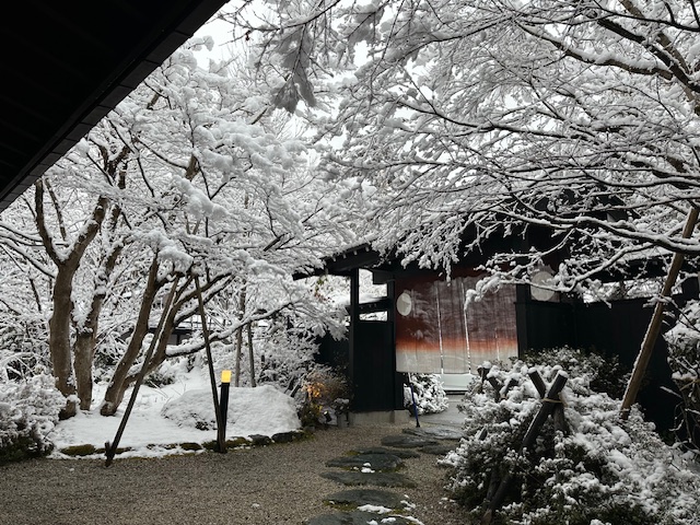 3月20日の雪景色