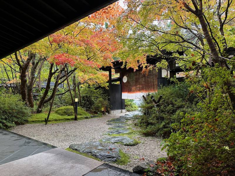 紅葉情報：雨のち紅葉