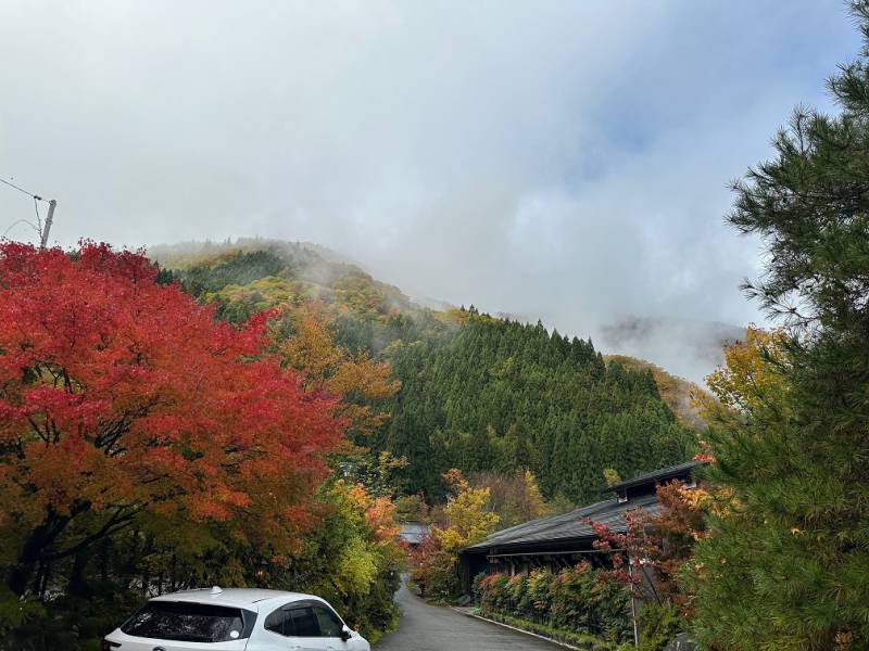 紅葉情報：雨のち紅葉