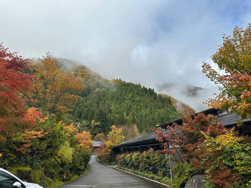 紅葉情報：雨のち紅葉