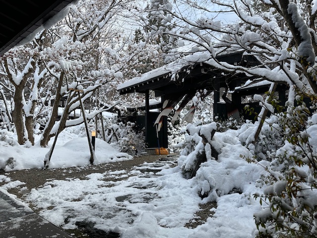 本格的な冬の到来です。