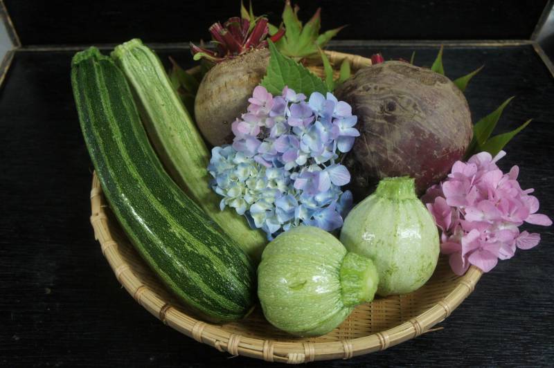 旬の夏野菜　ズッキーニとビーツ