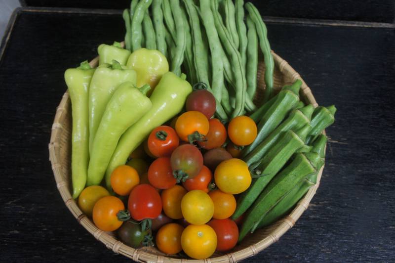 彩の夏野菜
