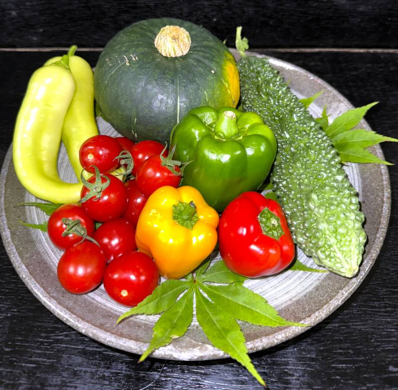 飛騨の夏空の下で見つけた美味しい旬野菜！　　　　　　「産直市場すくな」でお買い物