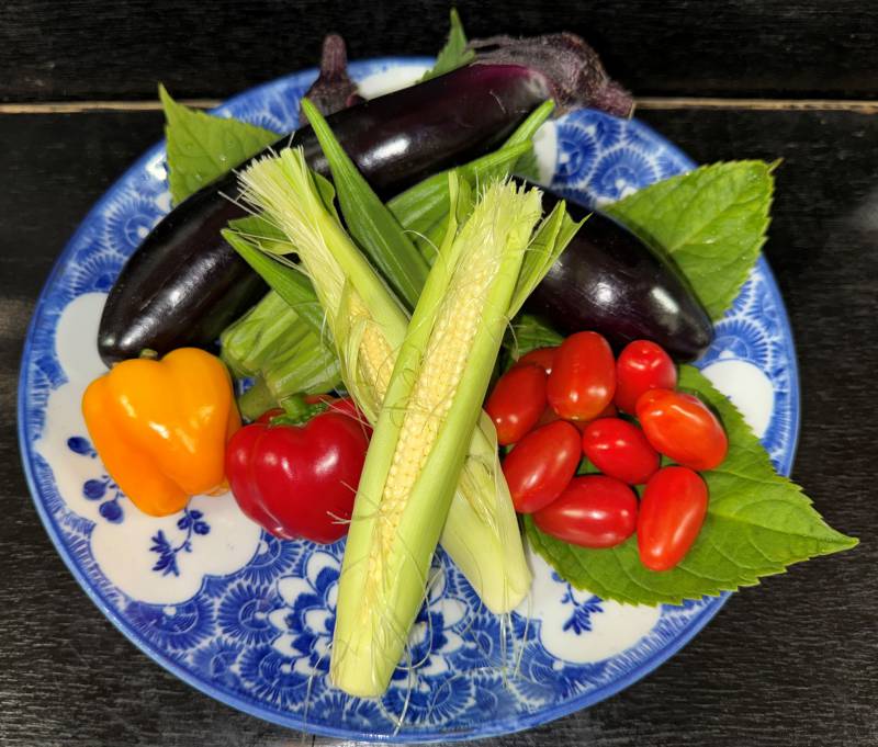 またまた「産直市場すくな」へ！　　　　　　　　　　彩り豊かな夏の旬野菜を仕入れてまいりました