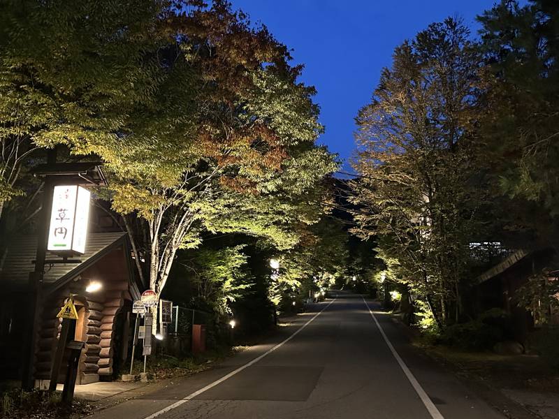 紅葉の町並みライトアップイベントのご案内。