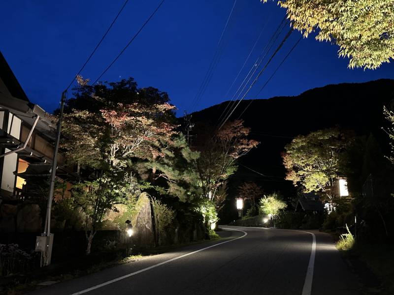 紅葉の町並みライトアップイベントのご案内。